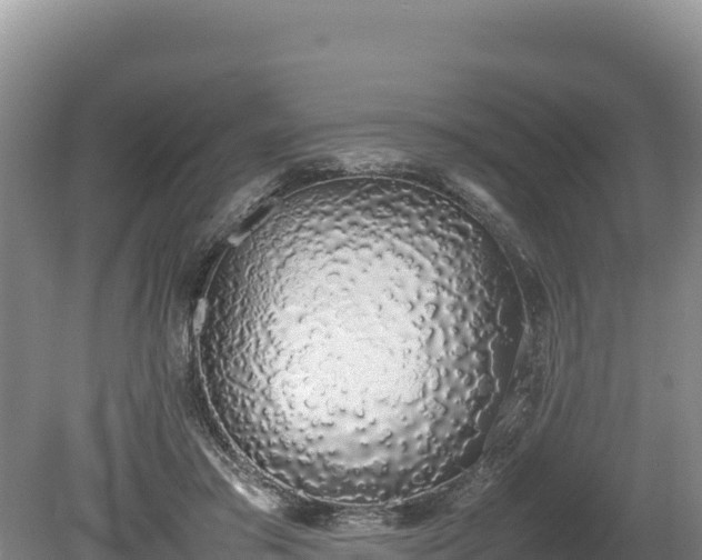 X0000080140405200612151809
