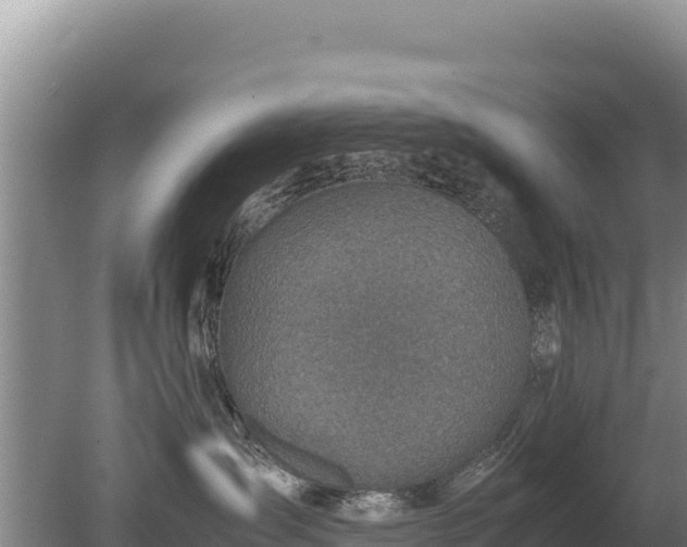 X0000080140431200612151809