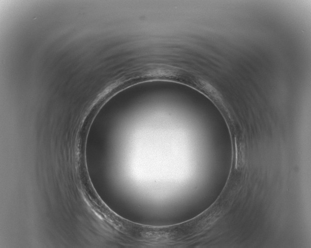 X0000080140435200612151808