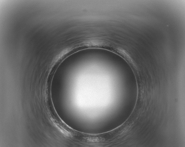 X0000080140439200612151808