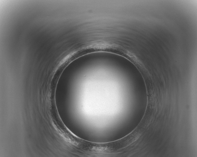 X0000080140440200612151808