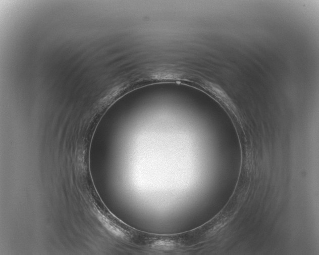 X0000080140441200612151808