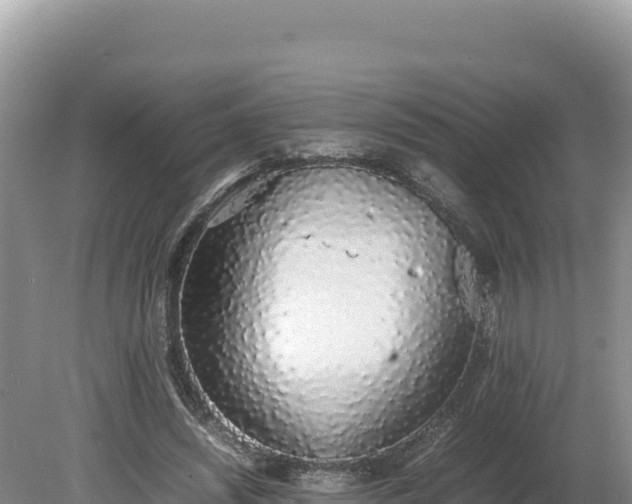 X0000080140444200612151808