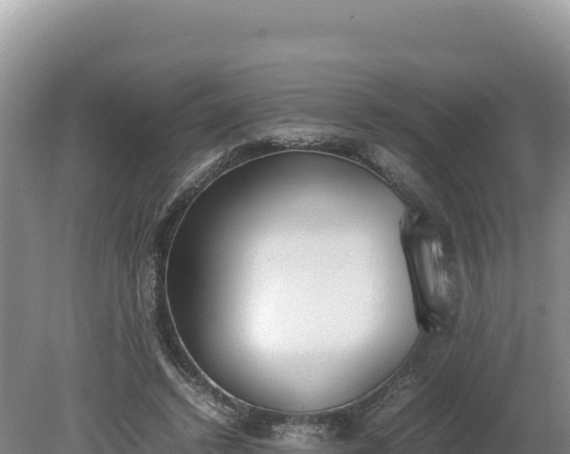 X0000080140448200612151808
