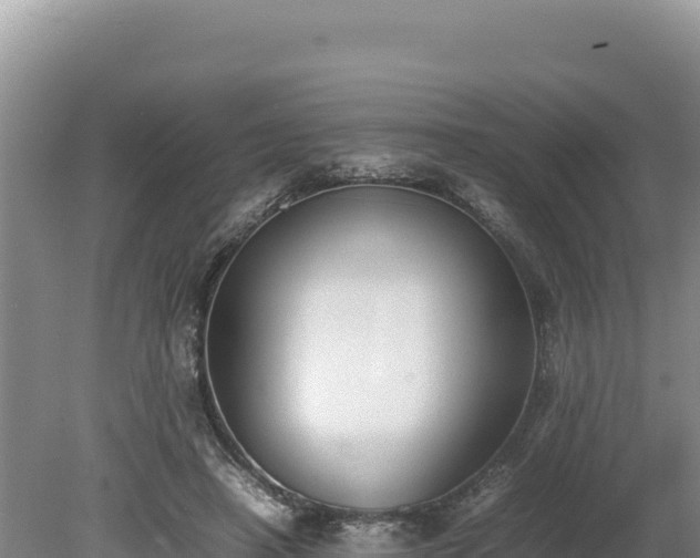 X0000080140450200612151808