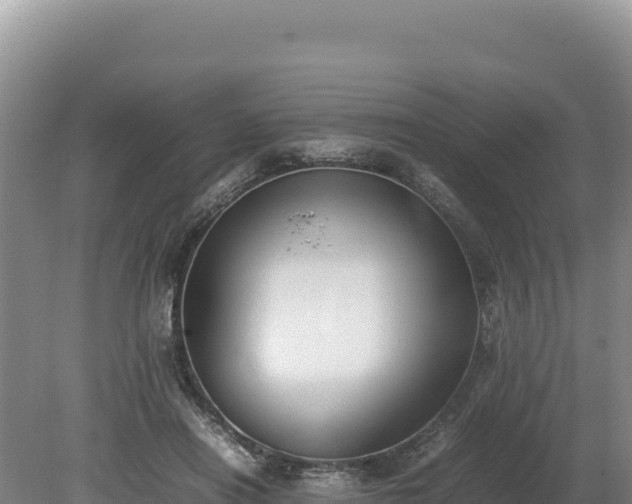 X0000080140454200612151808