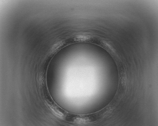 X0000080140455200612151808