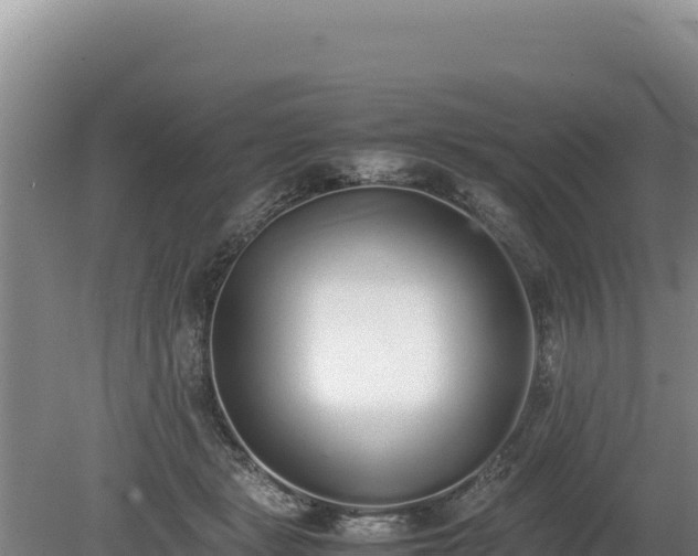X0000080140461200612151809