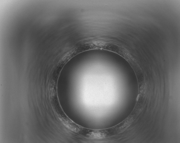 X0000080140464200612151809