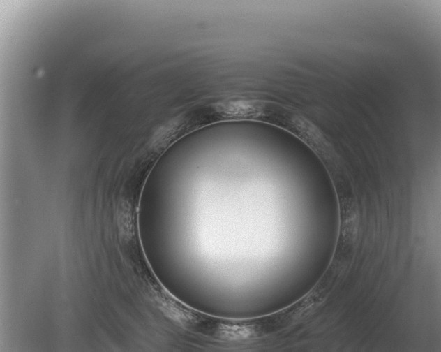 X0000080140469200612151809