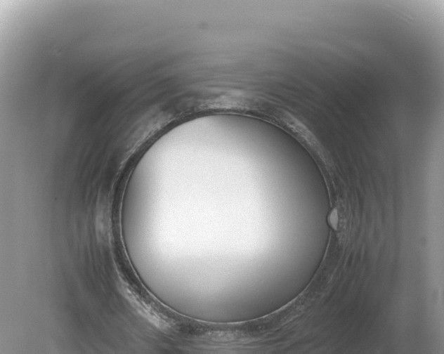 X0000080140482200612151808
