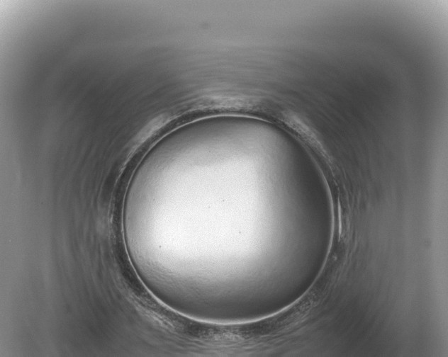 X0000080140483200612151808