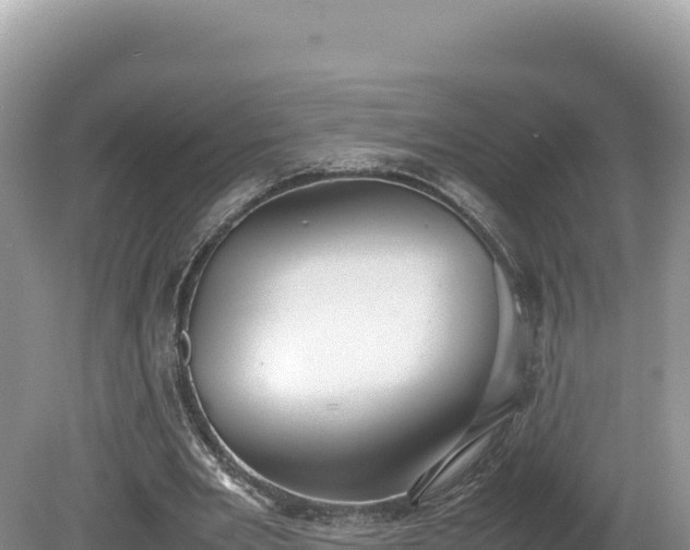 X0000080140485200612151808