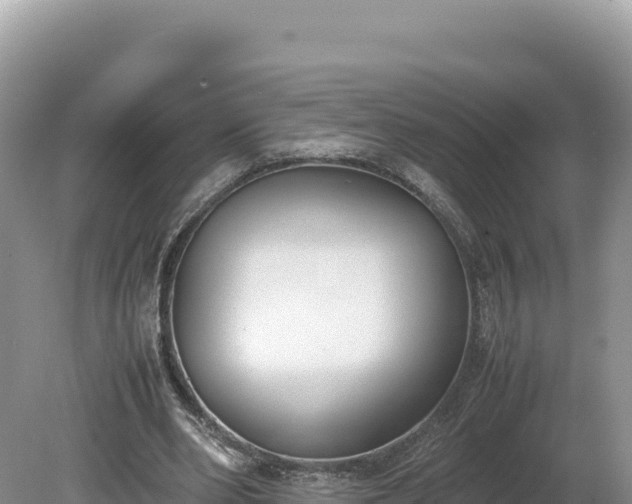 X0000080140486200612151808