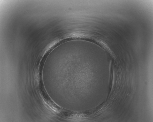 X0000080140488200612151808