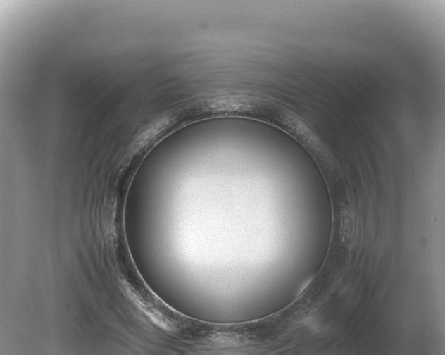 X0000080140490200612151808