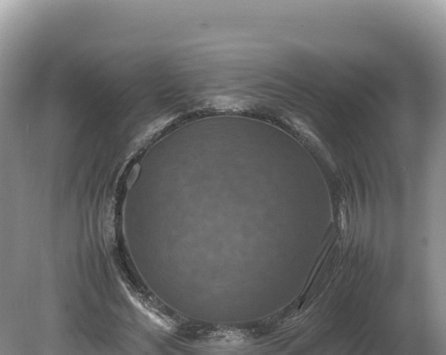 X0000080140492200612151808