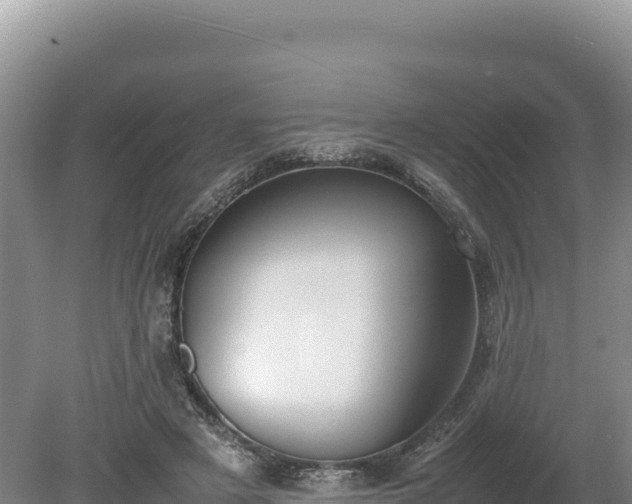 X0000080140497200612151808