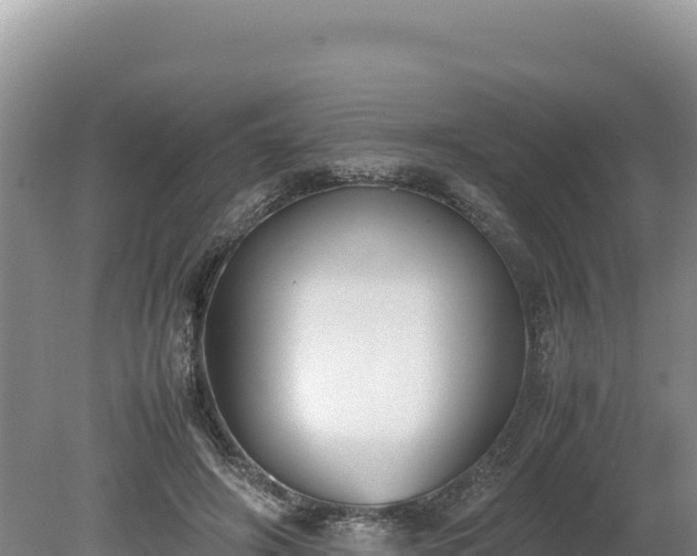 X0000080140498200612151808