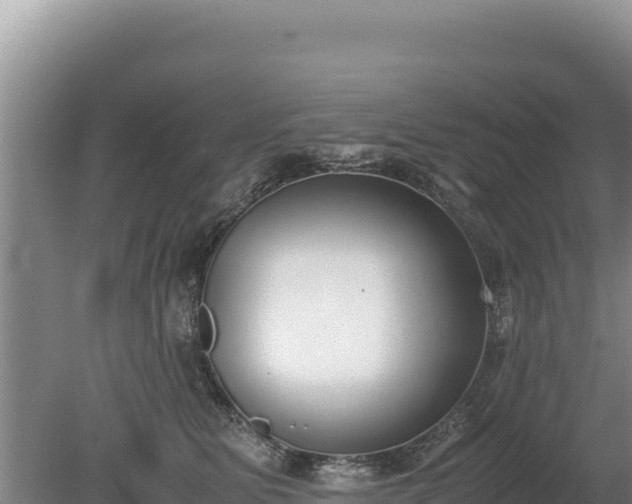 X0000080140515200612151807