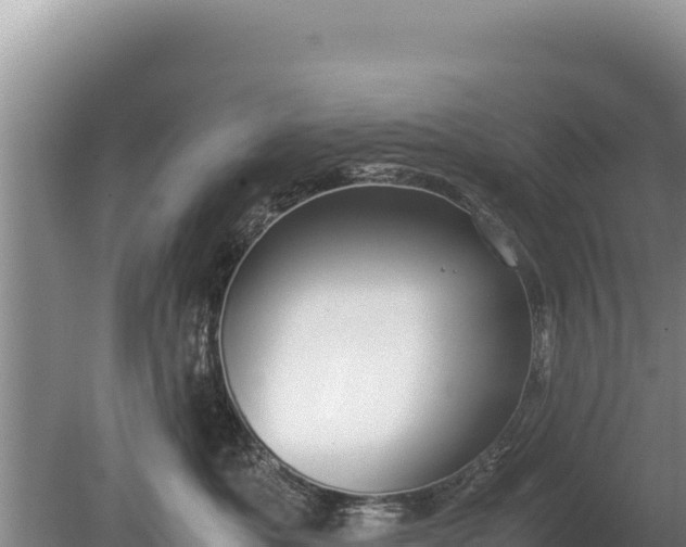 X0000080140525200612151807