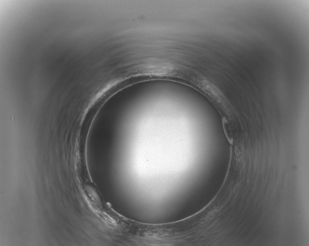 X0000080140532200612151807