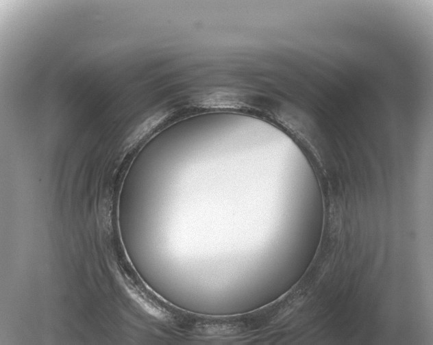 X0000080140533200612151807