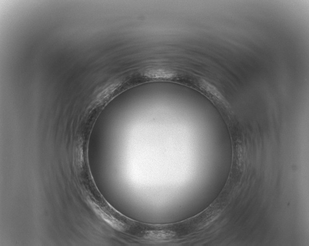 X0000080140541200612151807