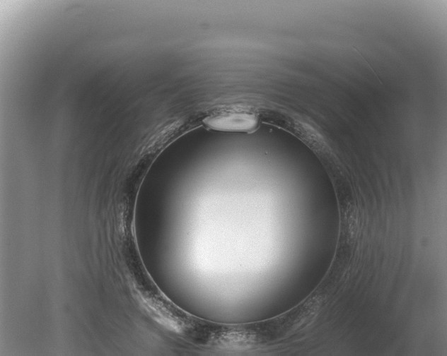 X0000080140546200612151807