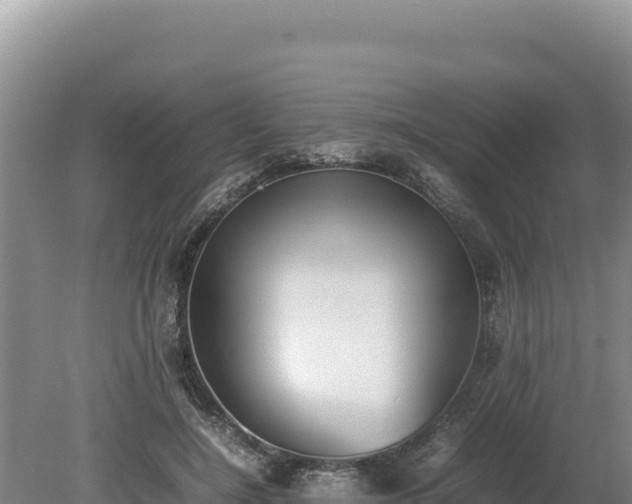 X0000080140548200612151807