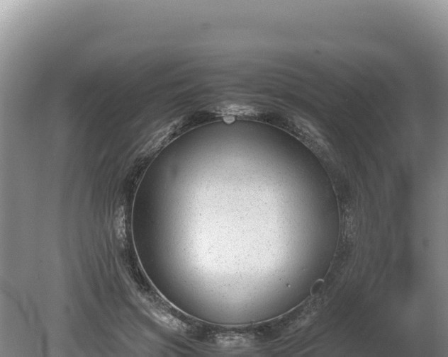 X0000080140549200612151807