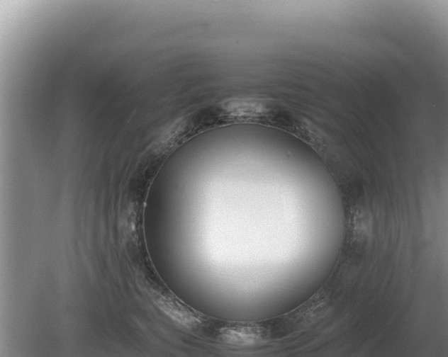 X0000080140567200612151807