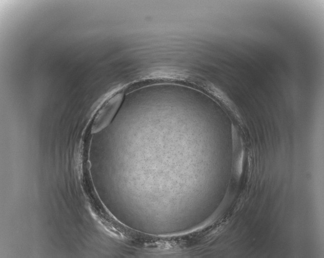 X0000080140580200612151806