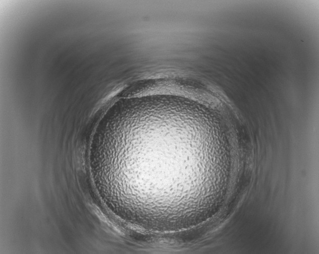 X0000080140585200612151806