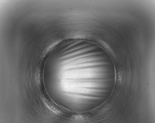 X0000080140588200612151806