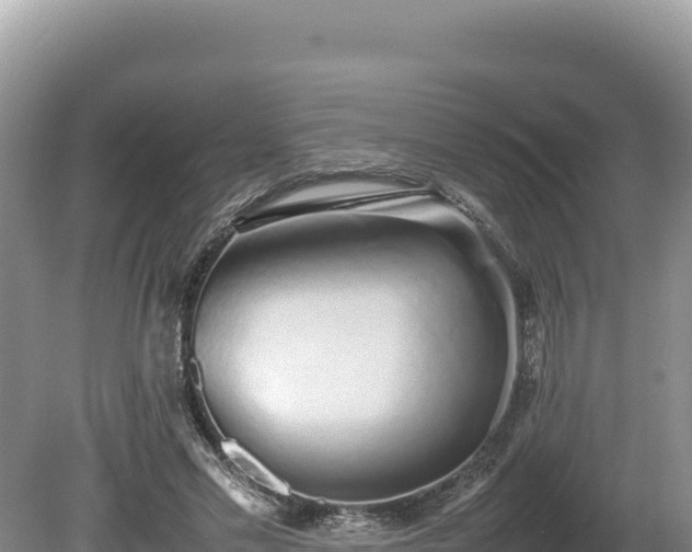 X0000080140589200612151806