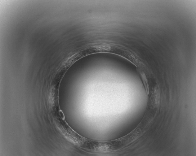 X0000080140600200612151806