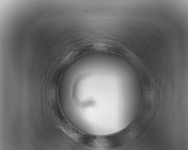 X0000080140603200612151806