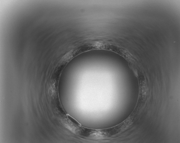 X0000080140611200612151806