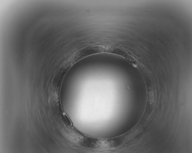 X0000080140613200612151806