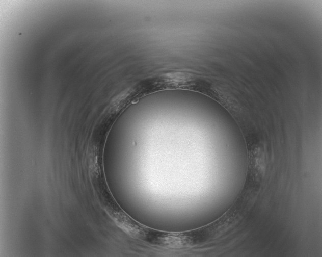 X0000080140615200612151806