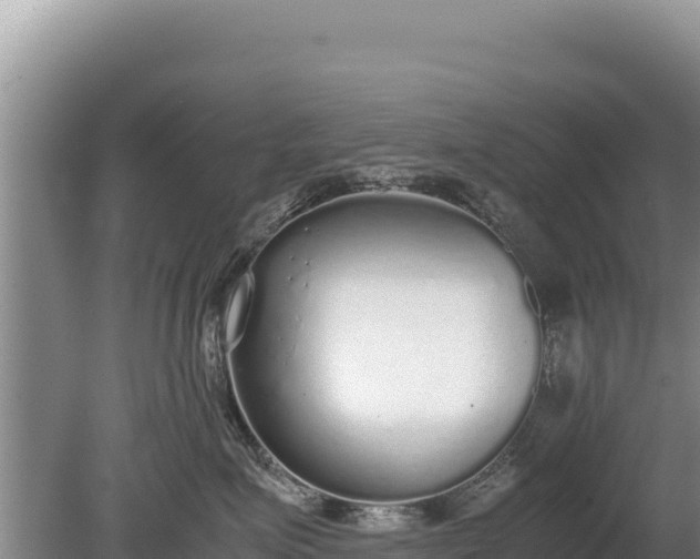 X0000080140623200612151806