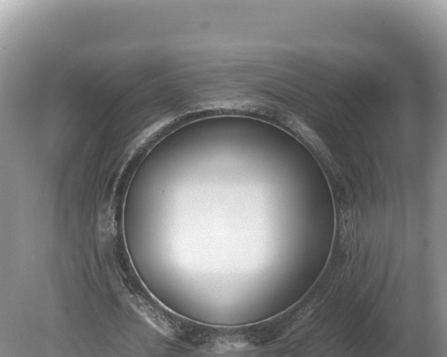 X0000080140628200612151805
