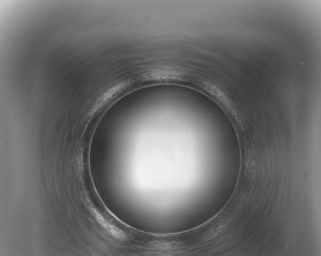 X0000080140629200612151805