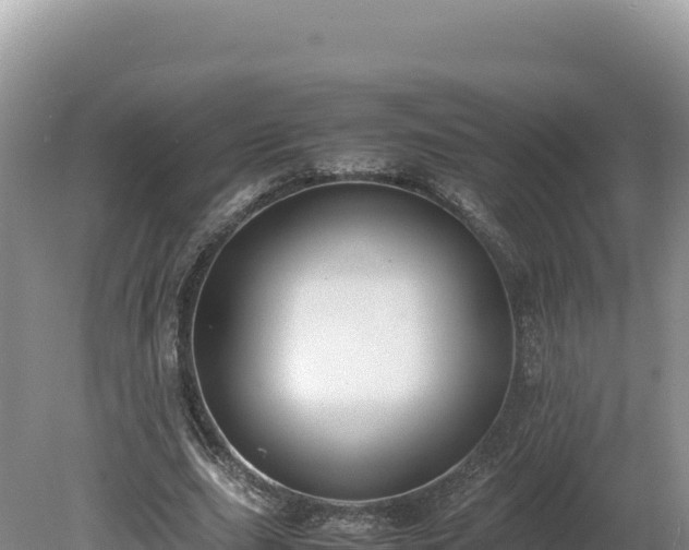 X0000080140631200612151805