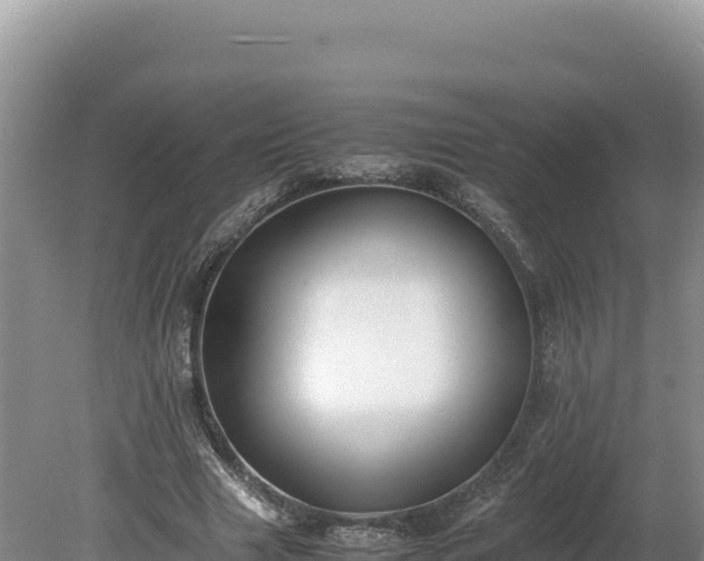 X0000080140633200612151805