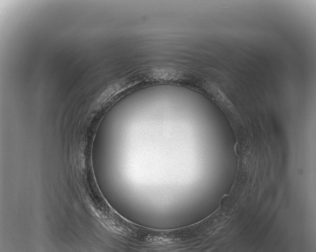 X0000080140635200612151805