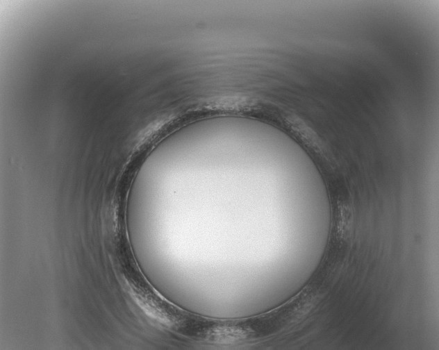 X0000080140636200612151805