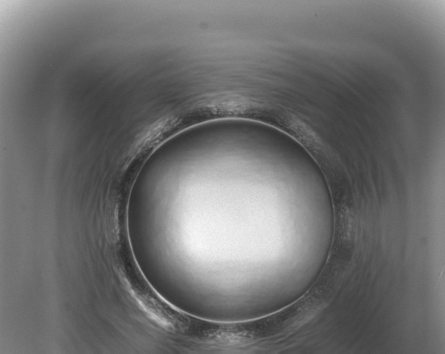 X0000080140638200612151805