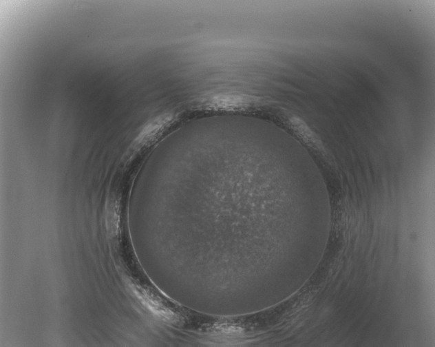 X0000080140640200612151805